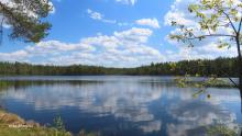 Järvenranta maisema