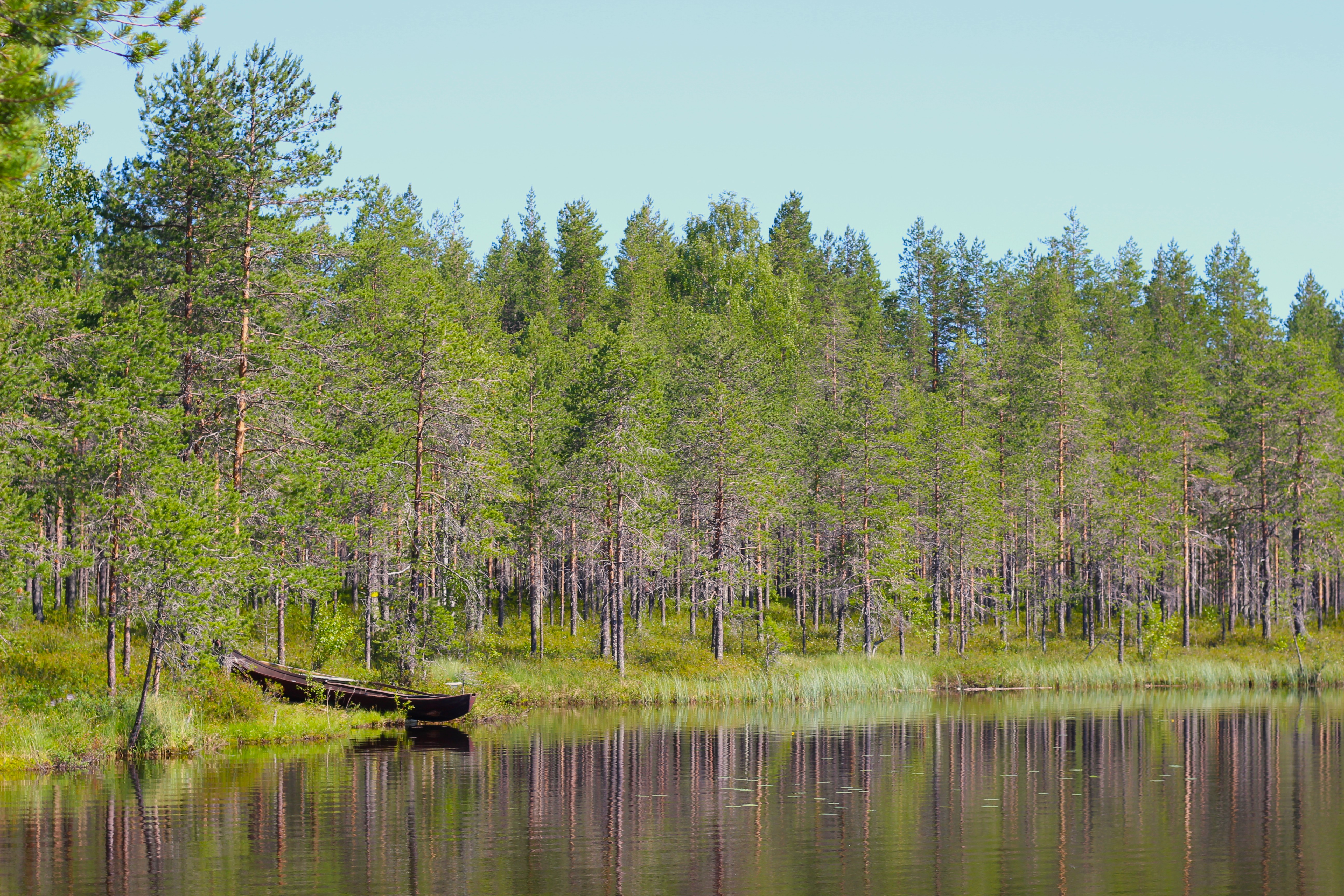Ahvenjärvi