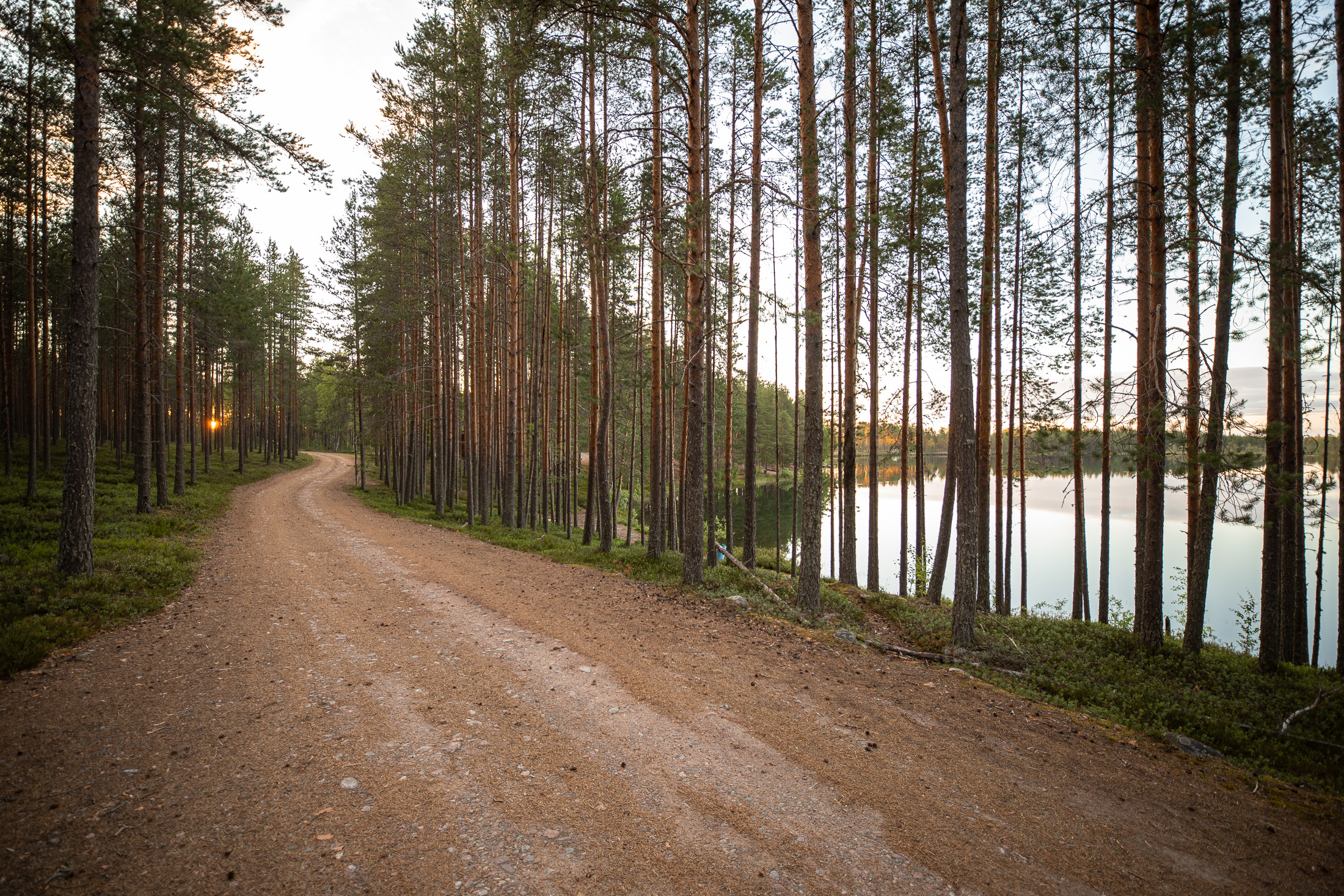 hiekkatie, puita ja järvi