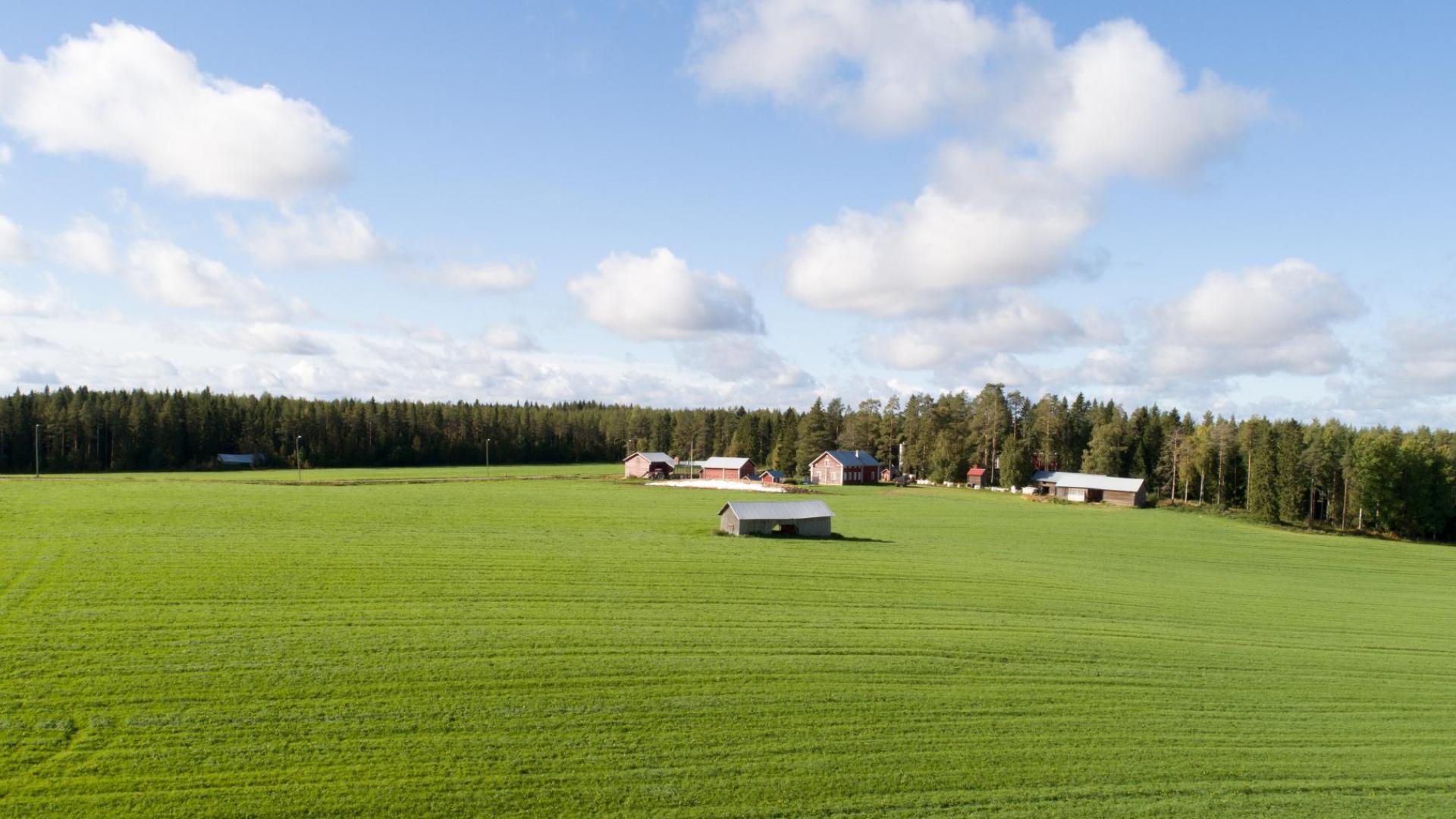 Pyhännän maalaismaisemia