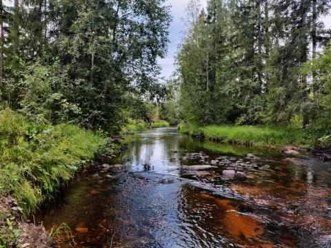 Lamujokea kylätalo Jokihelmen kohdalla