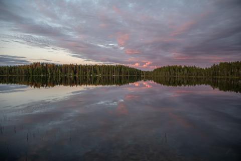 Kontiolampi