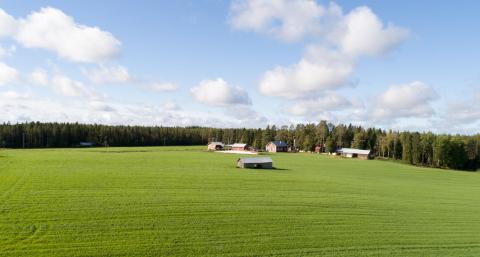 Maisemakuvaa Pyhännältä