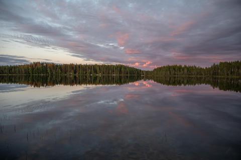 Kontiolampi