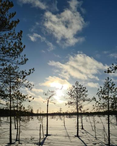 Suomaisema