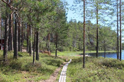 Luontopolku