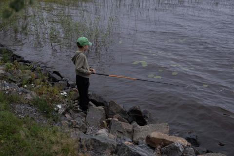 Perttulinpäivät 2024