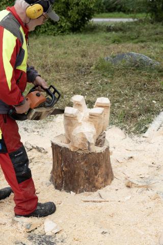 Perttulinpäivät 2024