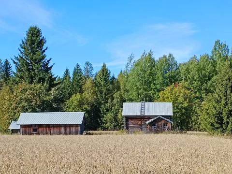 Alkusyksyn peltomaisema