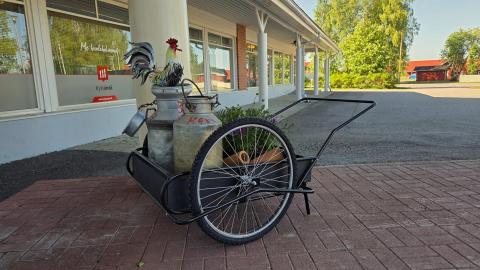 Kunnantalon kesäkukat