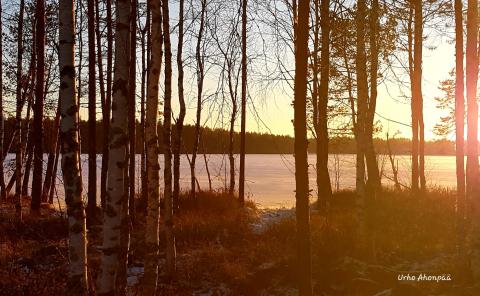 lumeton ja aurinkoinen järvenranta