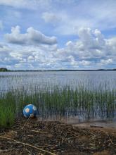 Sininen pallo kaislikossa