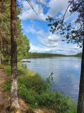 Kontiolampi, lapsia uimassa, kesäinen maisema