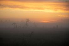 Auringonlasku suolla