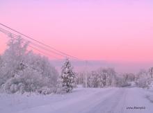 Vaaleanpunainen talvimaisema